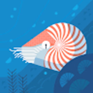 Meet your Posher, Naihomy